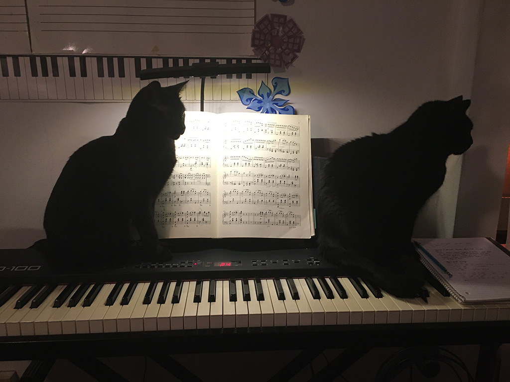 Siddhartha and Genie Ramses, my “studio” cats, with keyboard